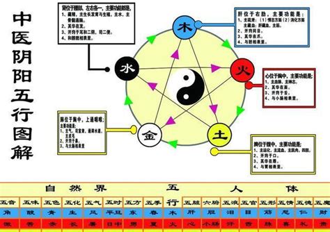 五行火的物品|五行火代表的事物